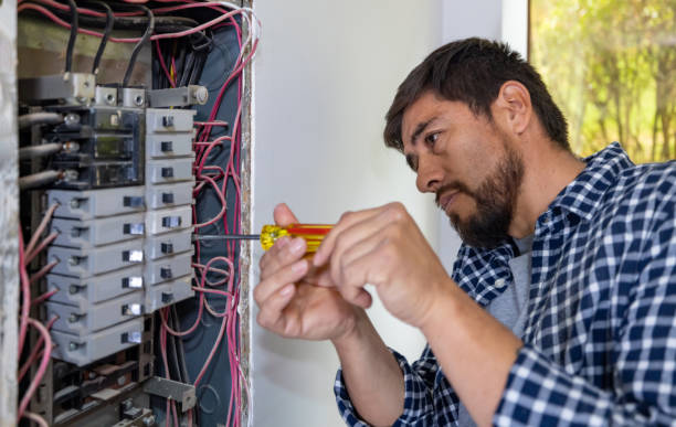 Best Generator Installation Services  in Pittsburg, KS